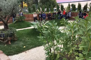 «Фитофантазия» в Сочи &copy;&nbsp;Фото Юлии Барановой, Юга.ру