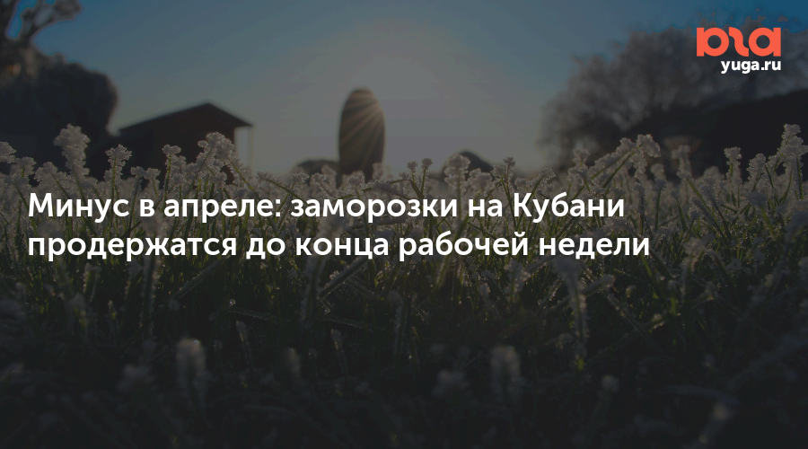 Минус в апреле: заморозки на Кубани продержатся до конца рабочей недели