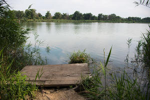 Озеро Старая Кубань © Фото Елены Синеок, Юга.ру