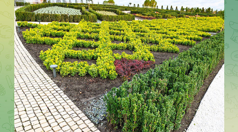 Клумба на крыше энергоцентра парка «Краснодар» &copy;&nbsp;Скриншот публикации в телеграм-канале парка &laquo;Краснодар&raquo;, T.me/parkkrd