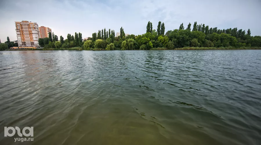  &copy;&nbsp;Фото Елены Синеок, Юга.ру