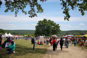 Фестиваль воздухоплавания «Абинская Ривьера» &copy;&nbsp;Фото Виталия Тимкива, Юга.ру