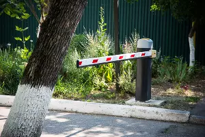  &copy;&nbsp;Фото Елены Синеок, Юга.ру