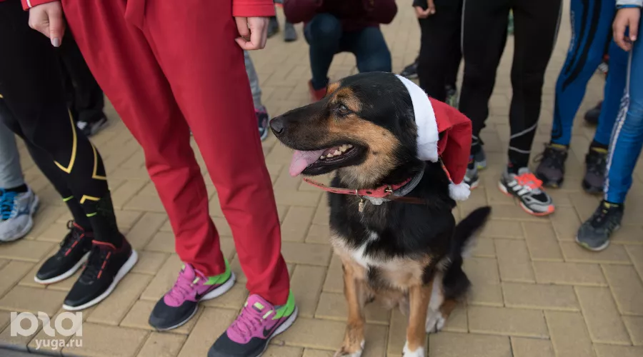  &copy;&nbsp;Нина Зотина, ЮГА.ру