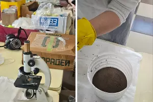  &copy;&nbsp;Коллаж из скриншотов фото из телеграм-канала &laquo;Евгений Витишко&raquo;