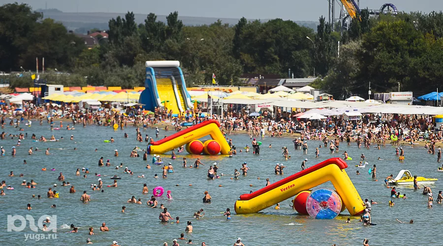  &copy;&nbsp;Фото Елены Синеок, Юга.ру