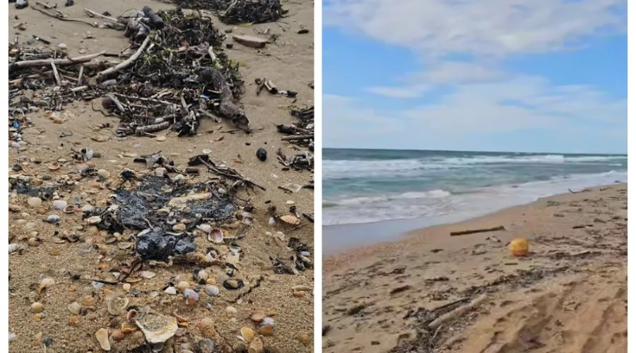  &copy;&nbsp;Скриншот из телеграм-канала Юрия Озаровского https://t.me/MoreOz/108784