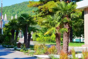  &copy;&nbsp;Скриншот фото из телеграм-канала &laquo;Администрация МО город-герой Новороссийск&raquo;