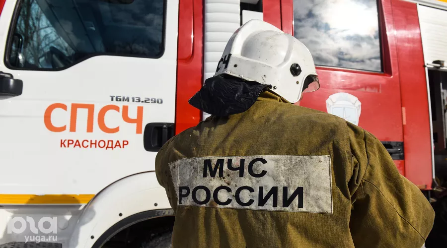  &copy;&nbsp;Фото Елены Синеок, Юга.ру