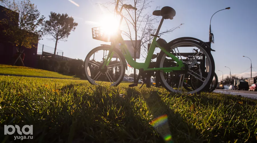  &copy;&nbsp;Фото Елены Синеок, Юга.ру