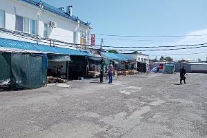  © Фото Елены Малышевой, Юга.ру