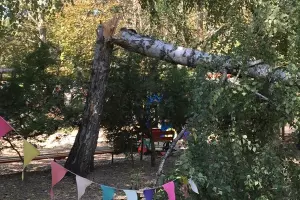  &copy;&nbsp;Фото пресс-службы администрации Краснодара