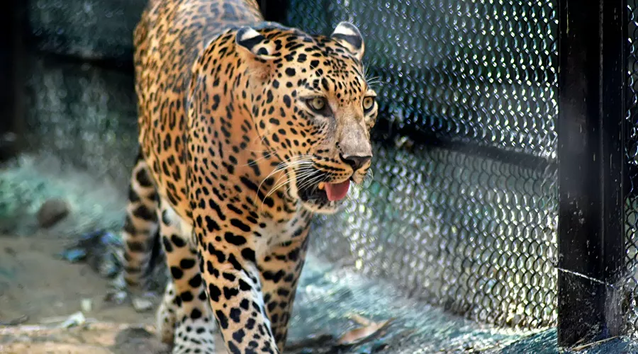  &copy;&nbsp;Фото Kachi Awaji с сайта Unsplash.com