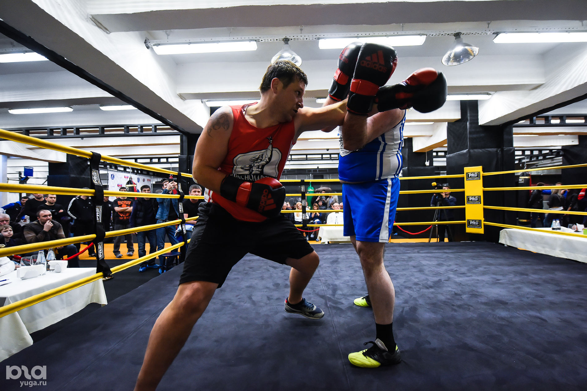 Apple box коробка. Школа бокса екатеринбург. Айпл боксы. Апл бокс. Лига бокса волгоград сентябрь.