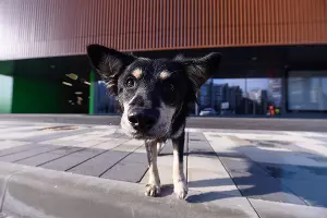  &copy;&nbsp;Елена Синеок, Юга.ру