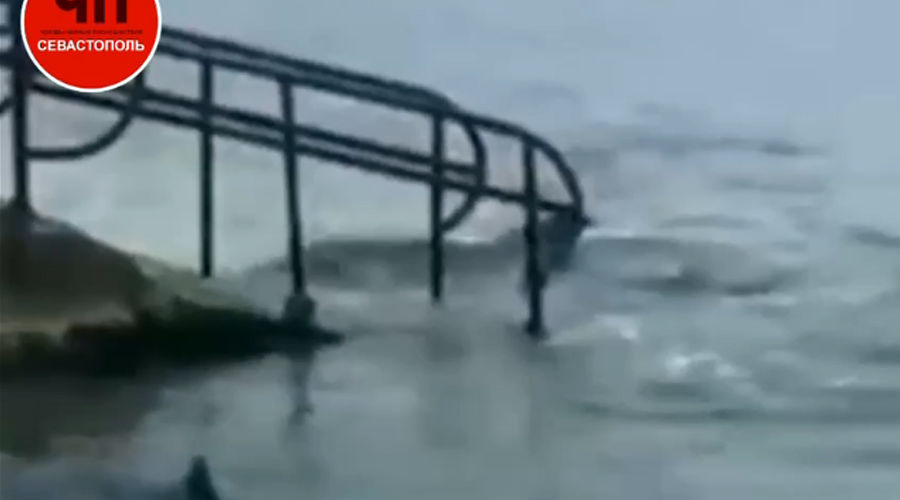 Две выброшенных из дельфинария Flipper афалины, которых удалось спасти © Скриншот видео телеграм-канала «ЧП Севастополь», t.me/chp_sevastopol