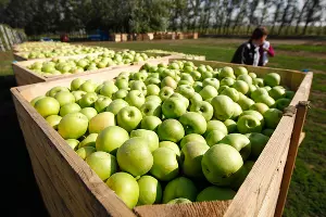  &copy;&nbsp;Влад Александров, ЮГА.ру