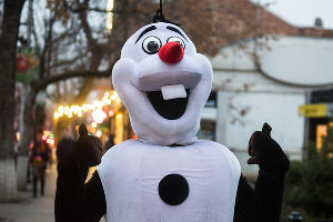 Новогодние ярмарки Краснодара © Фото Елены Синеок, Юга.ру