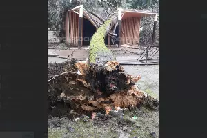  &copy;&nbsp;скриншот телеграм-канала ЧП Сочи https://t.me/chp_sochi/15801