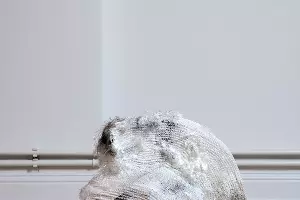 Работа Бернхарда Холашке &copy;&nbsp;Фотография предоставлена представителями Plague Space