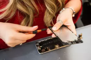  &copy;&nbsp;Фото Елены Синеок, Юга.ру