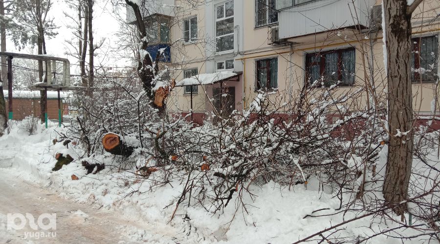 В Краснодаре дерево упало на провода от тяжести снега, и в жилом доме начался пожар