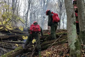  &copy;&nbsp;Фото Алексея Щербины для Юга.ру