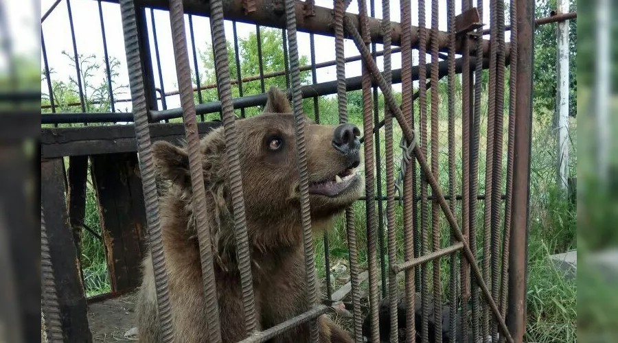  &copy;&nbsp;Фото из группы &laquo;Ростов Главный - новости Ростова-на-Дону&raquo; &laquo;ВКонтакте&raquo;, vk.com/rostovnadonu