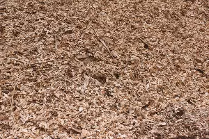 Завод &laquo;Картонтара&raquo; в Майкопе &copy;&nbsp;Фото Елены Синеок, Юга.ру