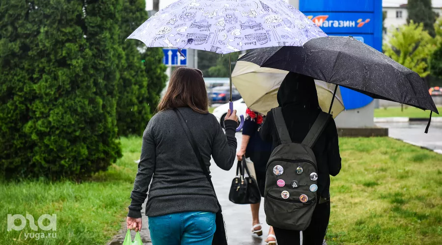  &copy;&nbsp;Фото Елены Синеок, Юга.ру