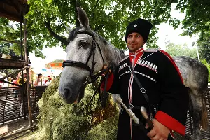 Ярмарка в День урожая в Краснодаре &copy;&nbsp;Елена Синеок, ЮГА.ру