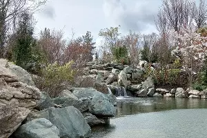 Японский сад &copy;&nbsp;фото Андрея Малёваного