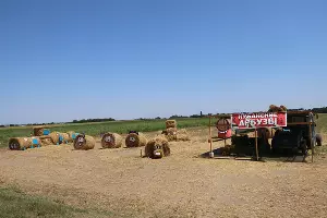  &copy;&nbsp;Фото пресс-службы Тбилисского района