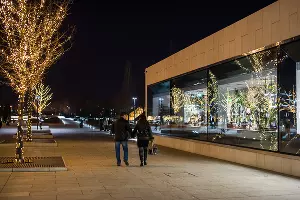 Парк «Краснодар» &copy;&nbsp;Фото Елены Синеок, Юга.ру