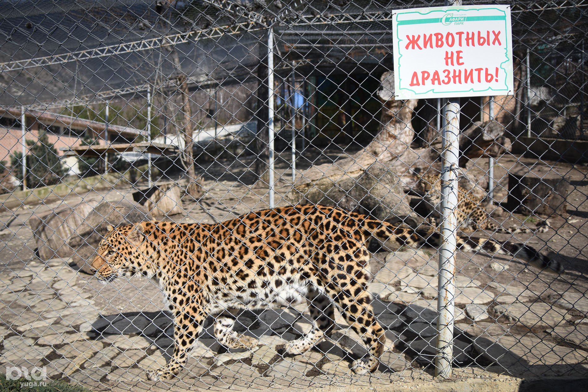 Сафари парк сочи