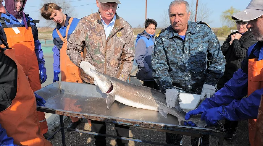  &copy;&nbsp;Фото пресс-службы администрации Краснодарского края