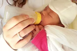  &copy;&nbsp;Фото Beeki с сайта pixabay.com