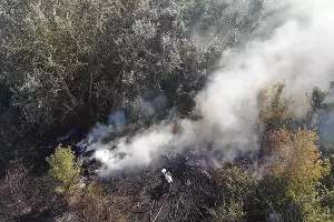  &copy;&nbsp;Фото со страницы instagram.com/cheh_rodion