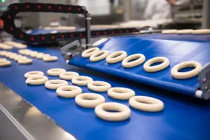 Открытие «Кубанского комбината хлебопродуктов» в Краснодаре &copy;&nbsp;Фото Елены Синеок, Юга.ру