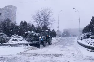  &copy;&nbsp;Фото Марины Солошко, Юга.ру
