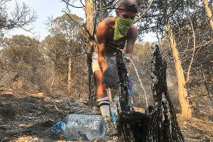 Пожар в заповеднике «Утриш» &copy;&nbsp;Фото Виталия Кавтарадзе
