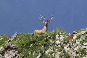  &copy;&nbsp;Фото Юрия Дороша