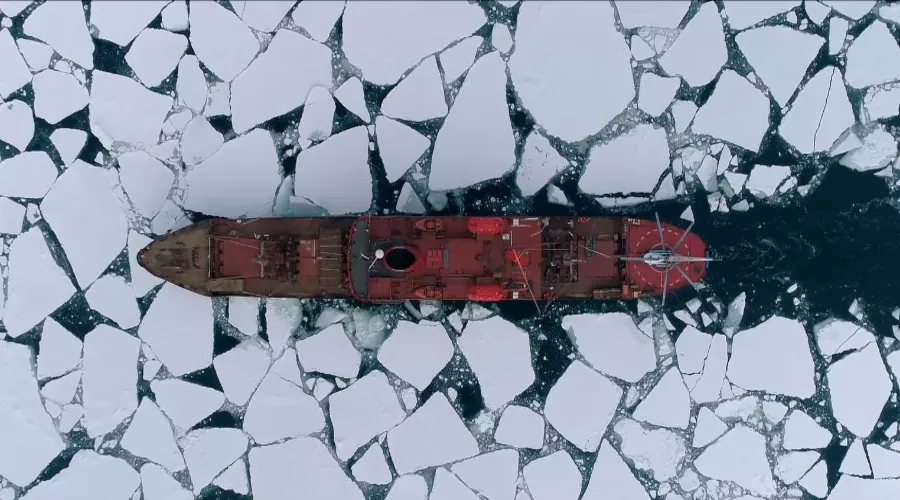 Кадр из трейлера фильма «В Арктику»  &copy;&nbsp;Скриншот видео с сайта &laquo;Кинопоиск&raquo;