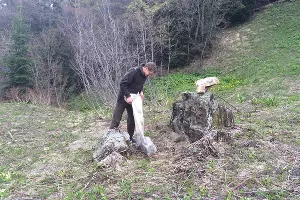  &copy;&nbsp;Фото пресс-службы Кавказского биосферного заповедника