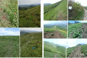  &copy;&nbsp;Коллаж предоставлен Вячеславом Крыленко