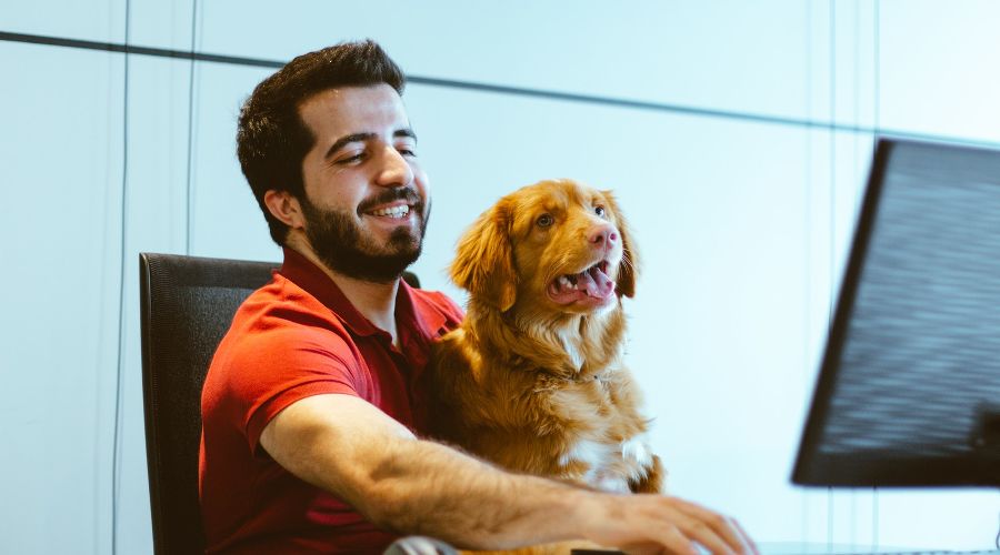  © Фото Neringa &#352;idlauskait&#279; с сайта unsplash.com