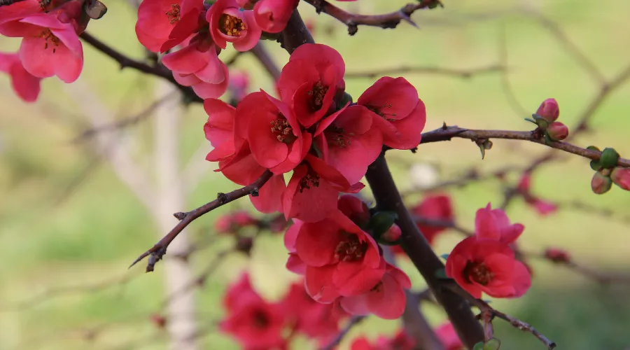  &copy;&nbsp;Фото пресс-службы Сочинского нацпарка