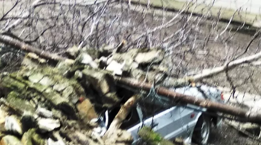  &copy;&nbsp;Фото из аккаунта www.instagram.com/chp_krd