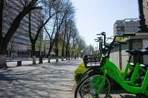 Краснодар, улица Красная &copy;&nbsp;Фото Евгения Мельченко, Юга.ру