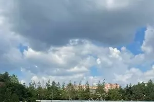  &copy;&nbsp;Фото из телеграм-канала t.me/edinakgardens